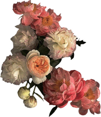 [Image ID: A photorealistic painting of a bundle of flowers. The flowers are mostly pink and white. End ID.]